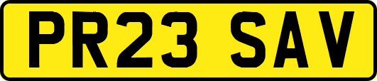 PR23SAV