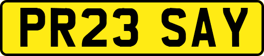 PR23SAY