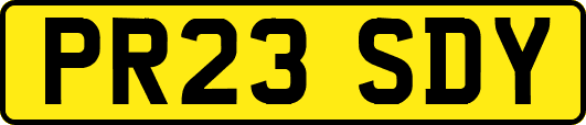 PR23SDY