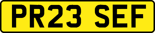PR23SEF