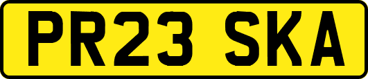 PR23SKA