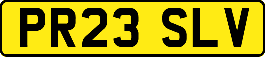 PR23SLV