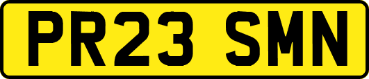 PR23SMN