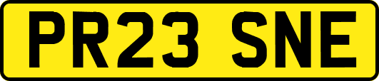 PR23SNE