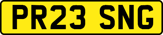 PR23SNG