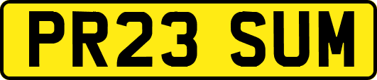 PR23SUM