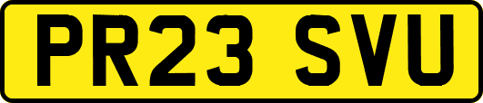 PR23SVU
