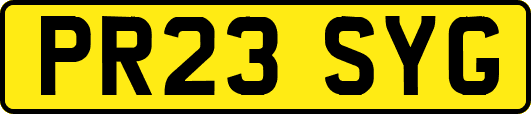 PR23SYG