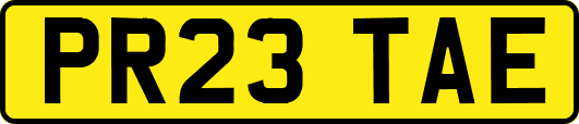 PR23TAE