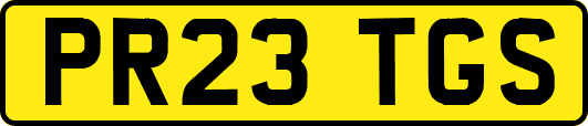 PR23TGS