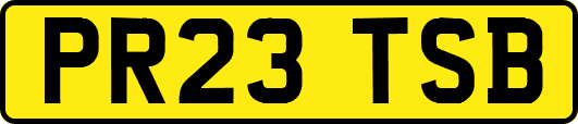 PR23TSB