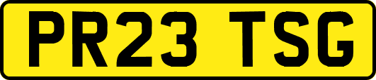 PR23TSG