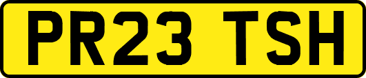 PR23TSH