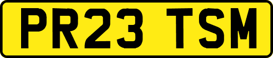 PR23TSM