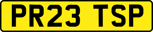 PR23TSP