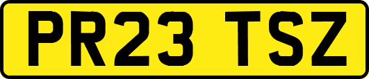PR23TSZ