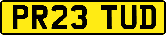 PR23TUD