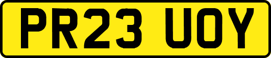 PR23UOY