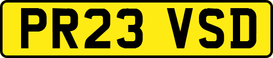 PR23VSD