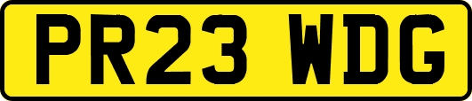 PR23WDG