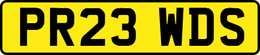 PR23WDS