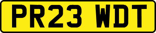 PR23WDT