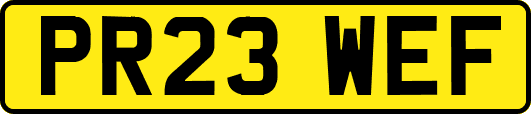 PR23WEF