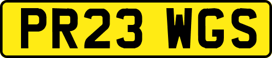 PR23WGS