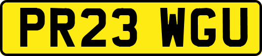 PR23WGU