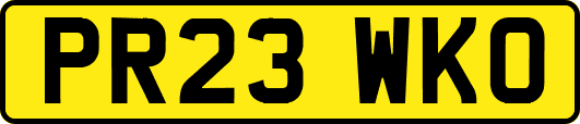 PR23WKO