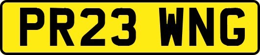 PR23WNG