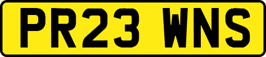 PR23WNS