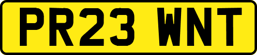 PR23WNT