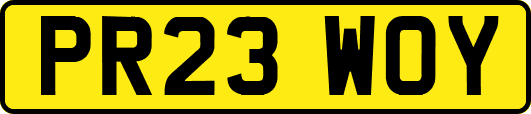 PR23WOY