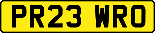 PR23WRO