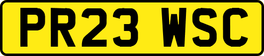 PR23WSC