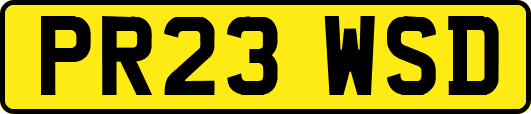 PR23WSD