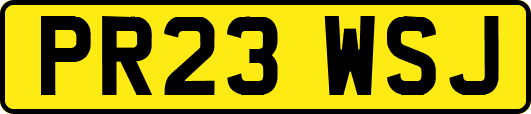 PR23WSJ