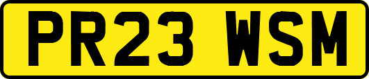 PR23WSM