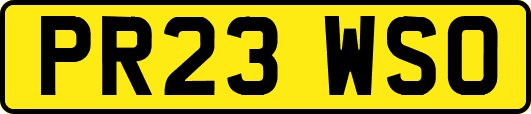 PR23WSO