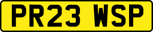PR23WSP