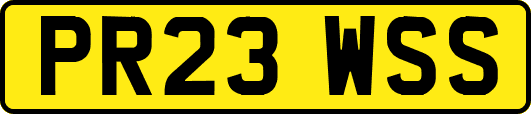 PR23WSS