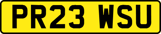 PR23WSU
