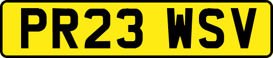 PR23WSV