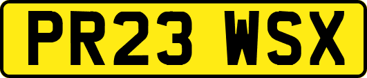 PR23WSX