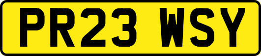 PR23WSY