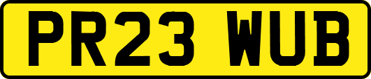 PR23WUB