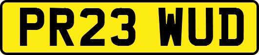 PR23WUD