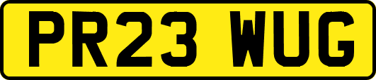 PR23WUG