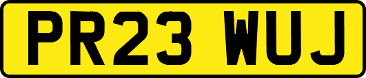 PR23WUJ